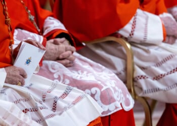 Pope Leo XIV plans to hold major meeting of cardinals in January