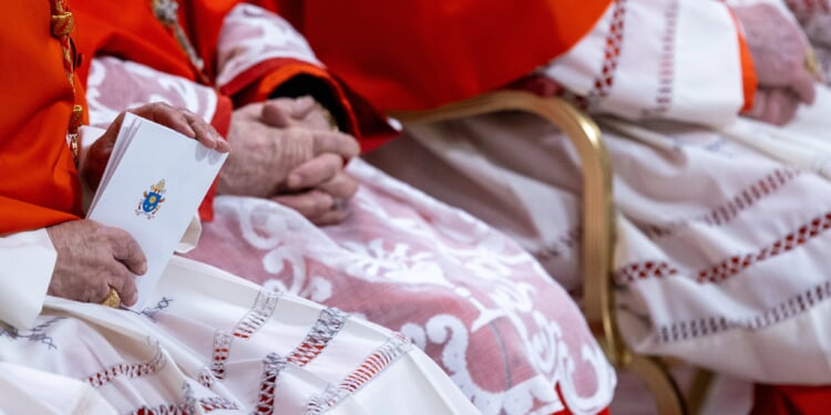 Pope Leo XIV plans to hold major meeting of cardinals in January