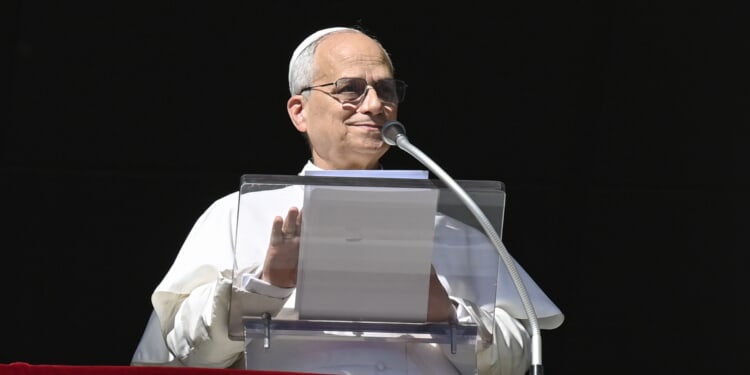 Pope Leo XIV warns AI could fuel ‘antihuman ideologies’ in medicine