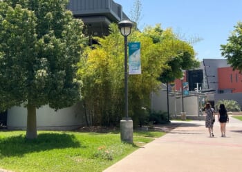 National Student Clearinghouse Research Center: Undergraduate fall enrollment up 2.4%