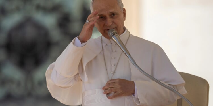 Pope Leo XIV: Fraternity is ‘one of the great challenges for contemporary humanity’