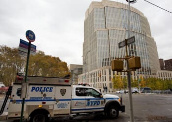 Alleged plot to bribe juror with $100,000 upends ex-heavyweight boxer Goran Gogic's NYC drug trial