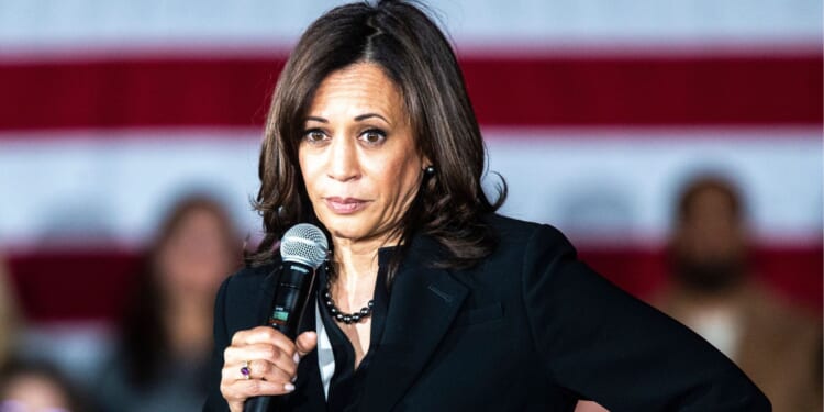 Kamala Accuses Trump of ‘Gaslighting’ America While He Unseals the Epstein Records [WATCH]