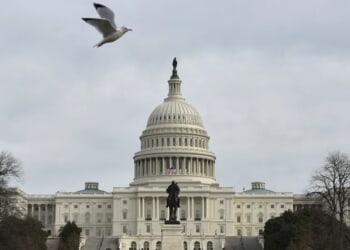 Trump’s Religious Freedom Nominee Left In Limbo As Persecution Rages Worldwide