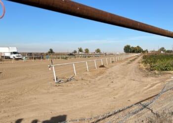 Federal judge orders release of 16 migrants detained in Idaho raid, citing due process violations