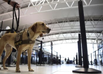 Man shot and killed after wielding a knife at St. Louis airport, police say