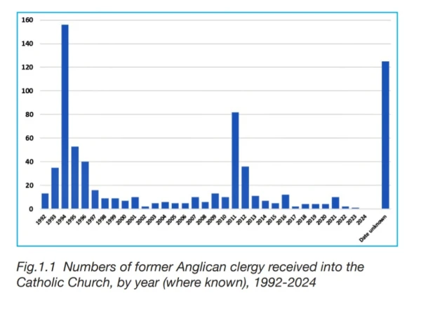 An image showing some of the findings from the 