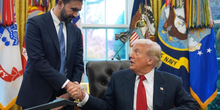 Trump says Mamdani will be 'great mayor' as they exchange praise in White House meeting