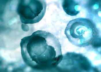 4 out of 5 Americans have concerns with embryonic screening, study finds