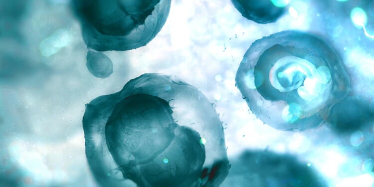 4 out of 5 Americans have concerns with embryonic screening, study finds