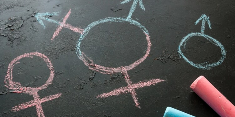 German bishops distance themselves from school guide on ‘diversity of sexual identities’