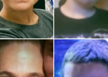 Grandmother and 3 grandchildren who went missing on hike in South Carolina found by rescuers