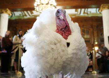 How Congress Forged Thanksgiving | The Daily Caller