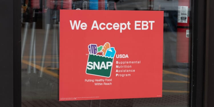 21 Blue States Refused to Prove Illegal Aliens Aren’t Getting SNAP Benefits [WATCH]