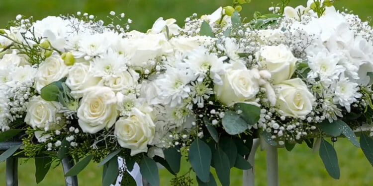 Actor Tony Germano Plunges To His Death In Horrifying Accident