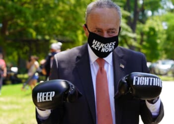 Air Traffic Controllers Union Chief Blasts Schumer for Playing Politics With Nation’s Safety [WATCH]