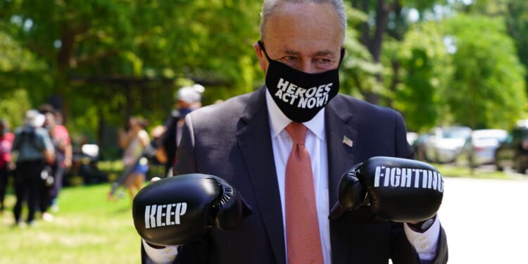 Air Traffic Controllers Union Chief Blasts Schumer for Playing Politics With Nation’s Safety [WATCH]