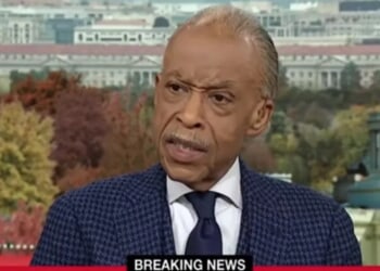 Al Sharpton Wastes No Time Blaming Trump For National Guard Shooting
