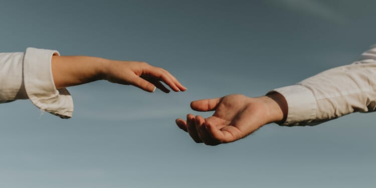 Alex Cobb: If the Conservatives want renewal, they must dismantle nepotism