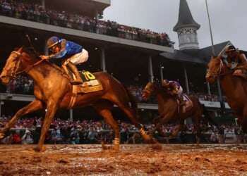 Ambulance Darts Through Live Horse Race In Absolutely Wacky Video