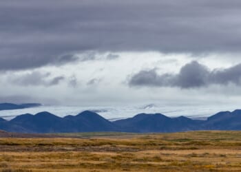Andrew Gilligan: The Falklands should be looked at again as an asylum processing centre