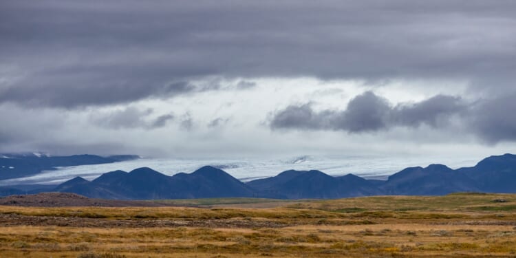 Andrew Gilligan: The Falklands should be looked at again as an asylum processing centre