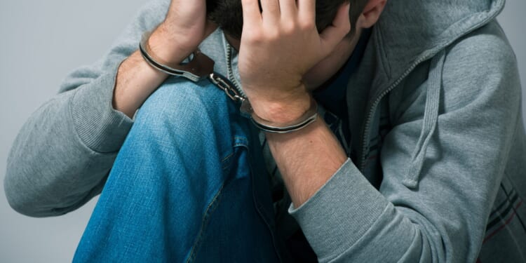 Border Agents Find Sedated Parakeets Hidden in Man’s Underwear Upon Entry