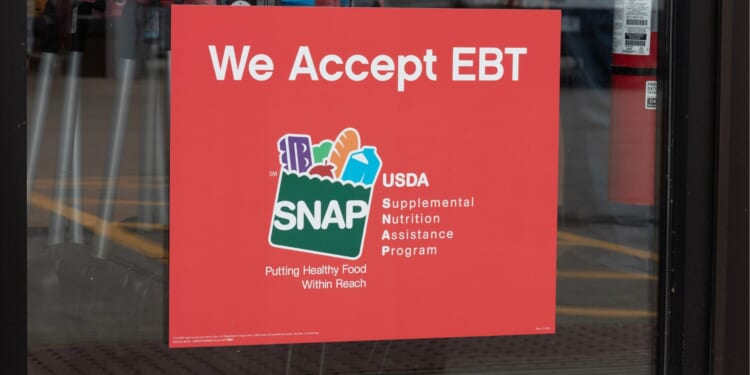 Brooke Rollins Reveals Staggering SNAP Benefits Numbers [WATCH]