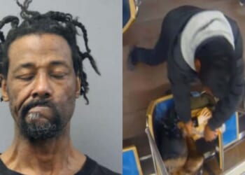 Chicago Woman Set on Fire on Train By Felon with 49 Prior Arrests [WATCH]