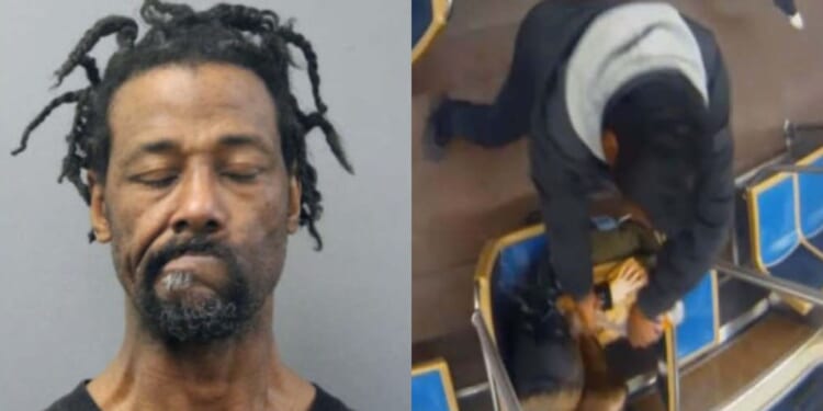 Chicago Woman Set on Fire on Train By Felon with 49 Prior Arrests [WATCH]
