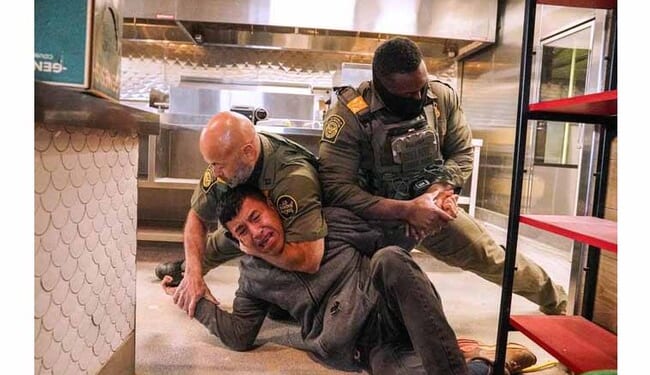 DHS Asst. Sec. Tricia McLaughlin Fact-NUKES Journo Pushing LIE About Illegal 'Headlocked' in Restaurant – Twitchy