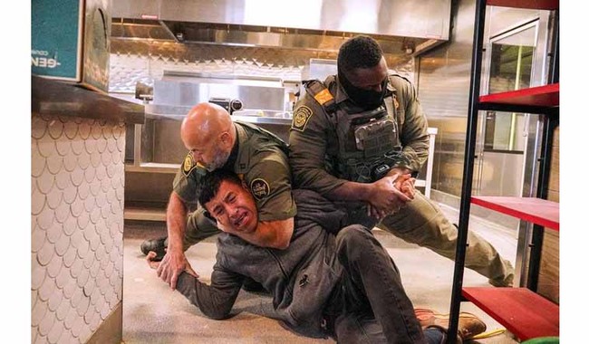 DHS Asst. Sec. Tricia McLaughlin Fact-NUKES Journo Pushing LIE About Illegal 'Headlocked' in Restaurant – Twitchy