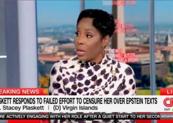 Del. Stacey Plaskett Tells CNN ‘There Are a Lot of People Who Have Done a Lot of Crimes’ – Twitchy