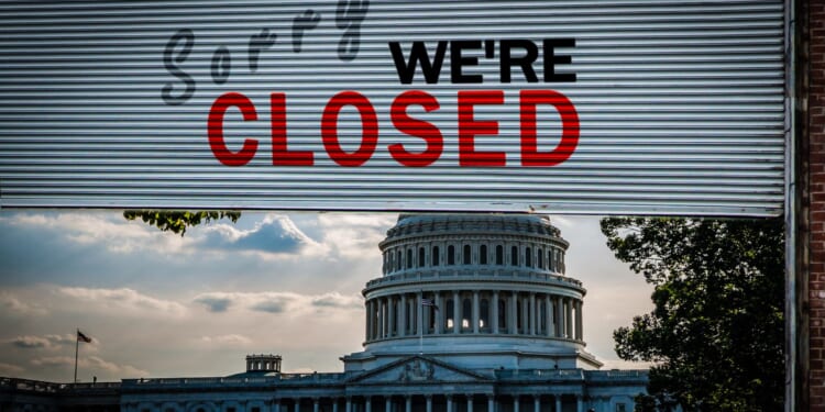 Democrats Claim They're 'Unified' as America Suffers [WATCH]