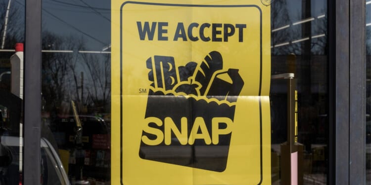Democrats Engineered SNAP Shutdown Chaos Backfires as Country Shifts Against Them [WATCH]