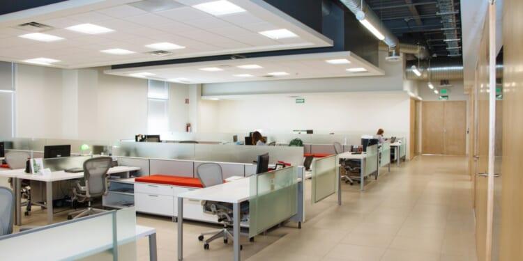 Elliot Keck: How serious is the Government about cracking down on councils with four-day weeks?