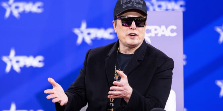 Elon Musk Warns New Yorkers About the 'Charismatic Swindler' That is Zohran Mamdani [WATCH]