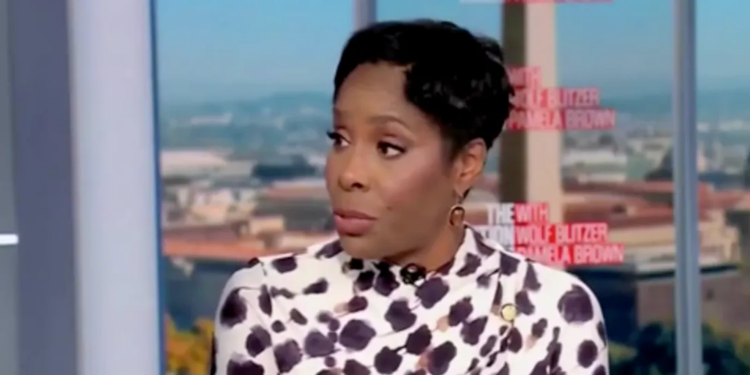 Epstein-Tied Democrat Delegate Digs Hole Even Deeper For Herself