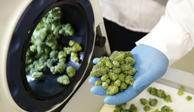 FL Rejects Corporate Weed Push as CO's $3B 'Jackpot' Can't Fix Potholes – Twitchy