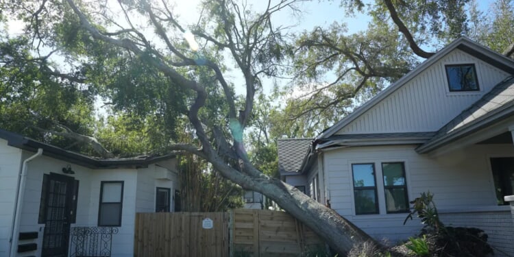 Florida Woman Was Paying Her Neighbor’s Bills For Years, Didn’t Think Anything Because Of Cost Of Living