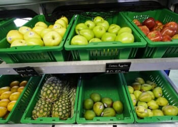 Food Stamp Windfall Sparks Bragging Backlash Amid Shutdown Chaos – Twitchy