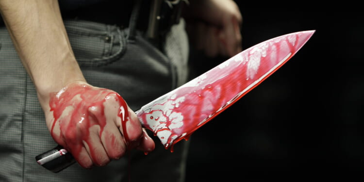 Former TV Anchor Accused of Fatally Stabbing Her Mom in Wichita on Halloween [WATCH]