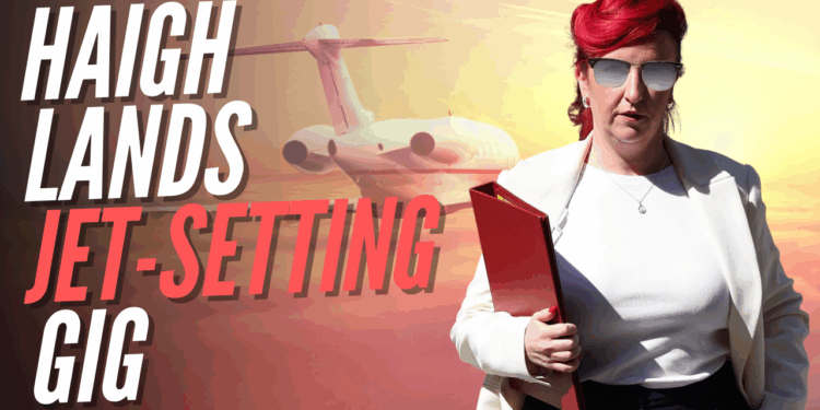 Fraudster Haigh Rewarded With Jet-Setting Government Job – Guido Fawkes