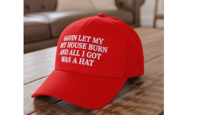 Gavin Newsom Jetted Thousands of Miles to Blame Arson on Climate Change (Rainforest Had to Pay the Price) – Twitchy