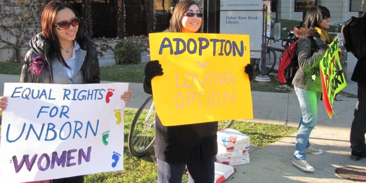 Georgia L Gilholy: Britain needs an explicit ban on sex-selective abortion