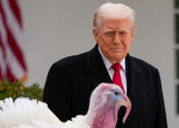 Gobble & Waddle Saved – But Trump Almost Doomed Them as 'Chuck & Nancy' in Epic Pardon Prank (WATCH) – Twitchy
