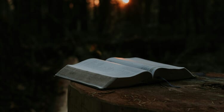 God in the Age of Pronouns: Father, Mother, or Neither? | The American Spectator