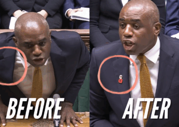 Guido Victory: Forgetful Lammy Puts on Poppy Mid-DPMQs