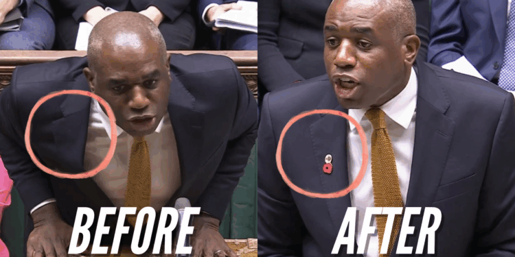 Guido Victory: Forgetful Lammy Puts on Poppy Mid-DPMQs