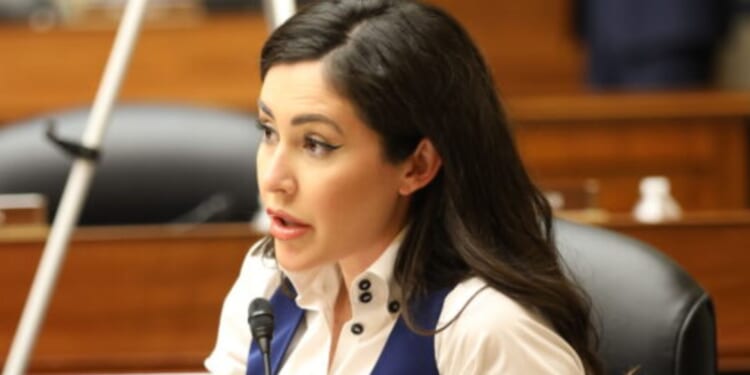 Gun Control Dems Concealed Carrying in DC Before National Guard Showed Up: Anna Paulina Luna [WATCH]